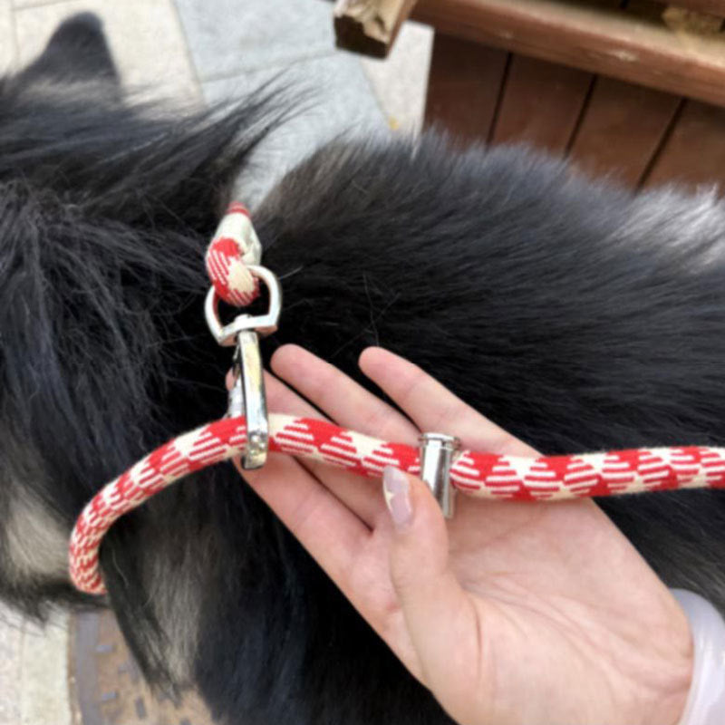 Braided Crossbody Leash for Dogs – Multi