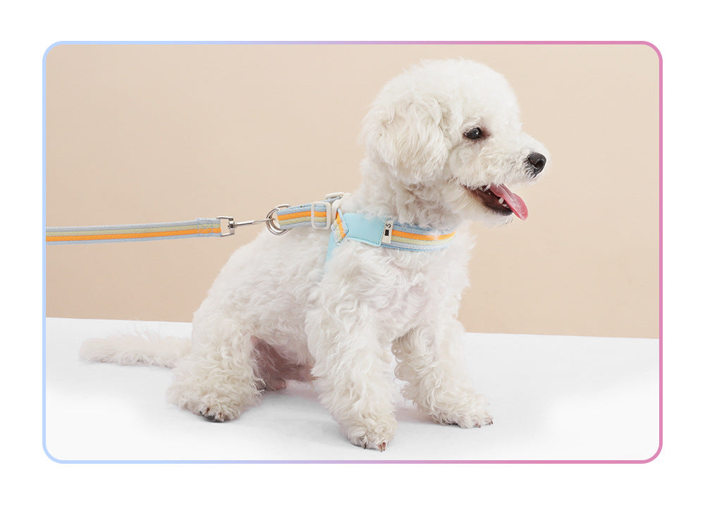 Rainbow V-Shaped Harness & Leash Set