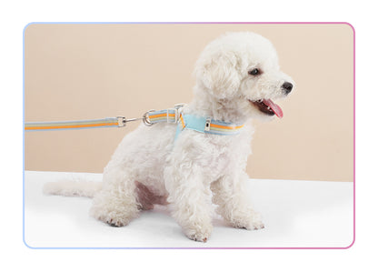 Rainbow V-Shaped Harness & Leash Set