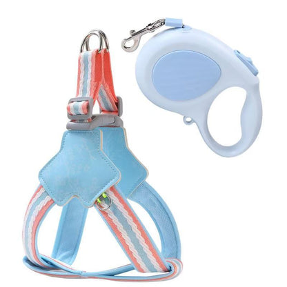 Floral Harness & Leash Set