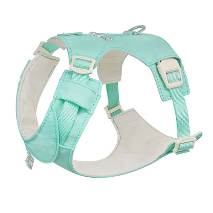 Floral Harness, Leash & Bag Set