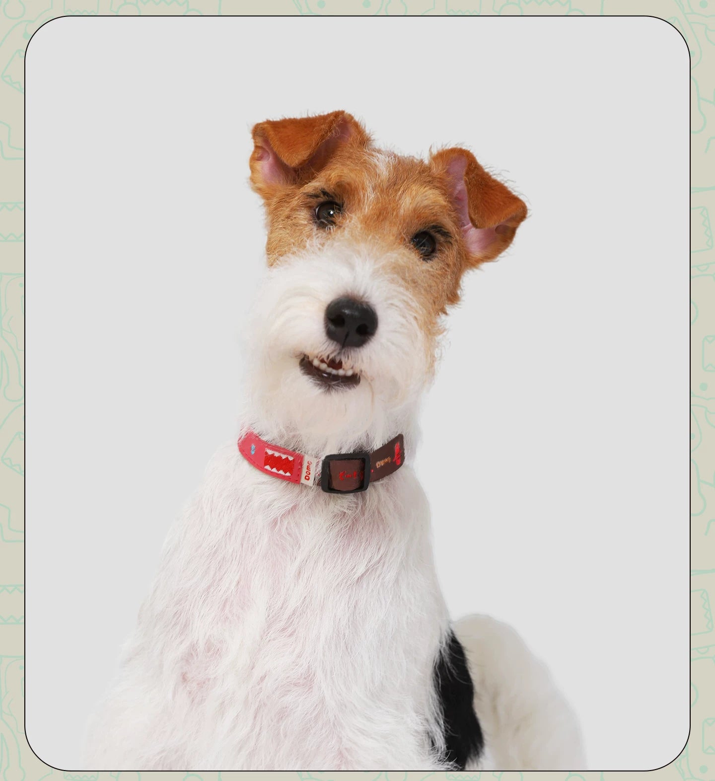 Cartoon Print Dog Collar