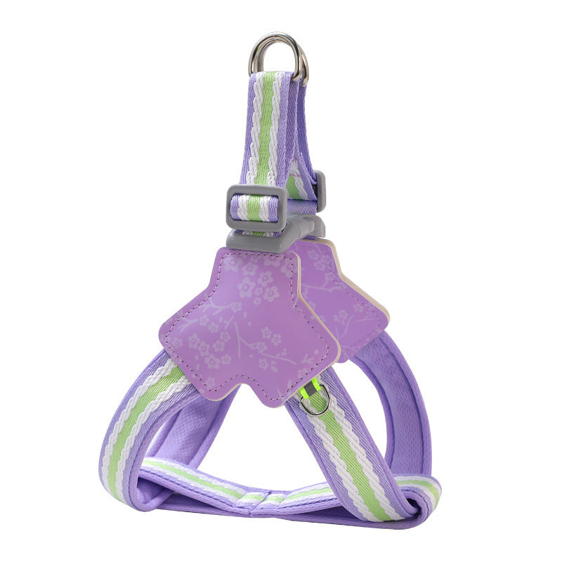 Floral Harness & Leash Set