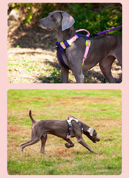 Reflective No-Pull Dog Harness