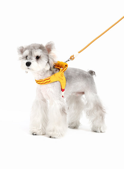 Wave Pattern Harness & Leash Set