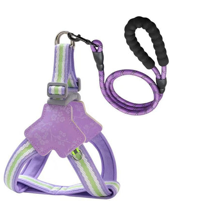 Floral Harness & Leash Set