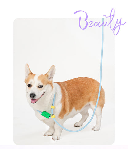 Cushioned Slip Lead Dog Leash