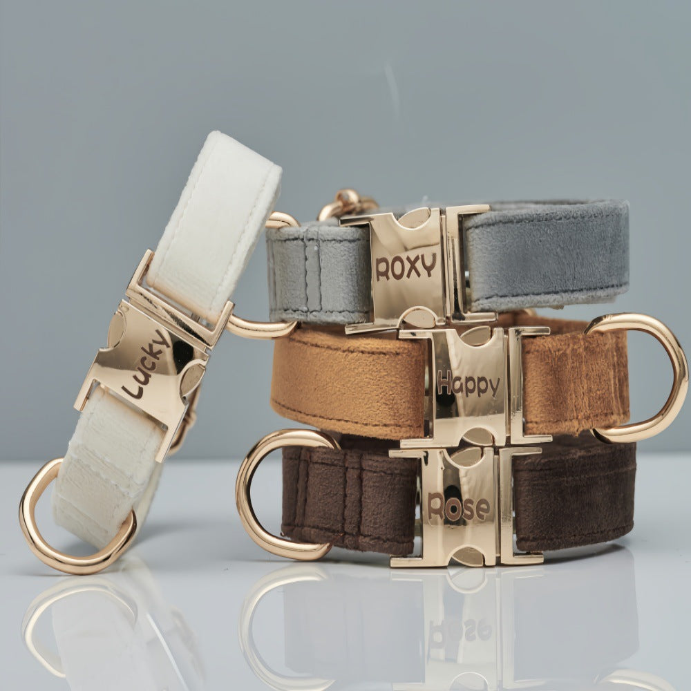 Personalized Velvet Collar & Leash Set