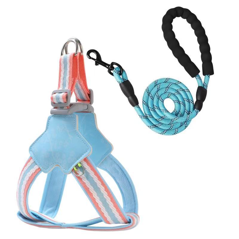 Floral Harness & Leash Set