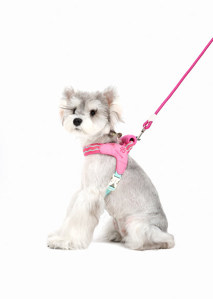 Wave Pattern Harness & Leash Set