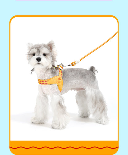 Wave Pattern Harness & Leash Set