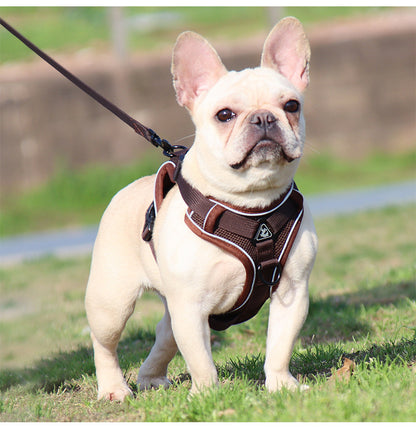 Reflective Mesh Harness & Leash Set