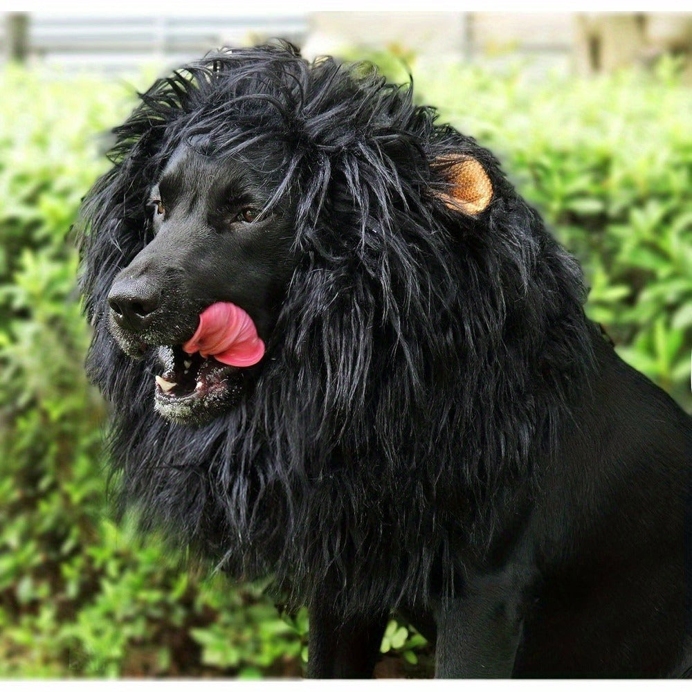 Lion Mane Dog Hat for Dogs – Black
