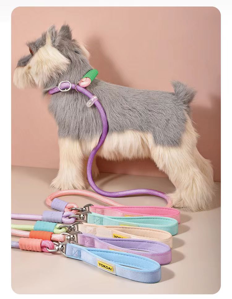 Gradient Slip Lead Dog Leash for Dogs – Blue