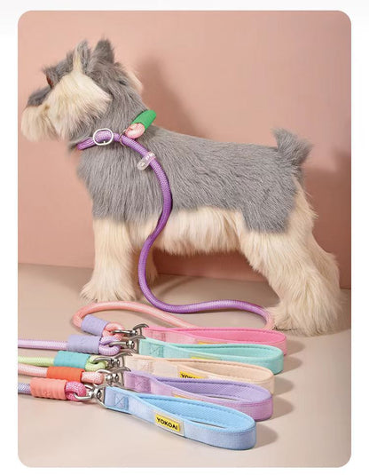 Gradient Slip Lead Dog Leash for Dogs – Blue