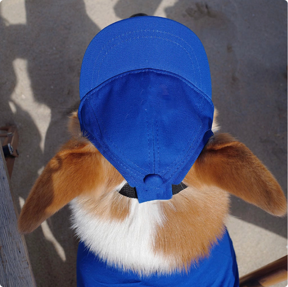 Korean Style Baseball Cap for Dogs – Black