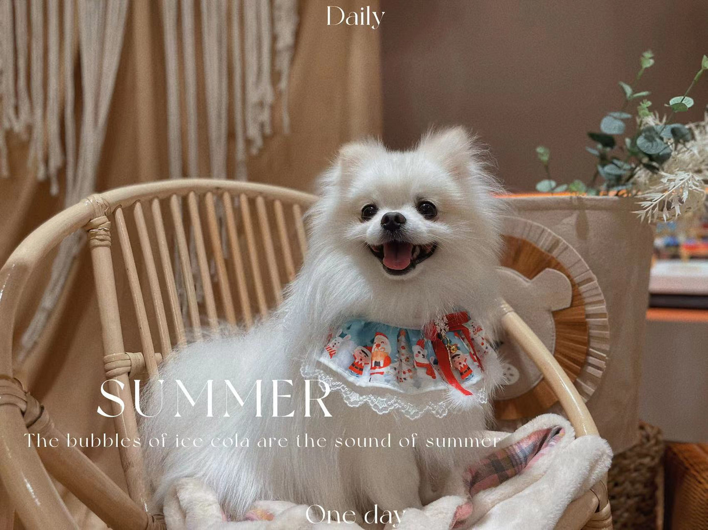 Christmas Lace Dog Necklace – Red