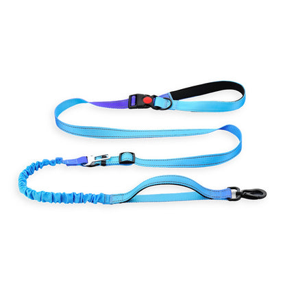 Gradient Elastic Dog Leash