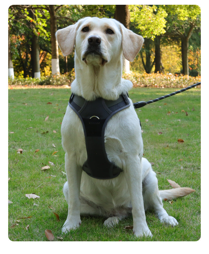 Reflective Mesh Dog Harness
