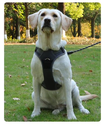 Reflective Mesh Dog Harness