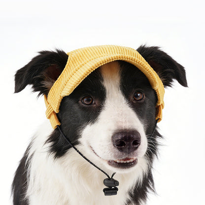 Corduroy Dog Baseball Cap