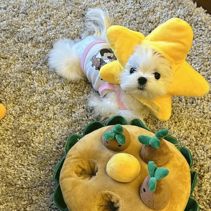 Star Dog Hat for Dogs – Yellow