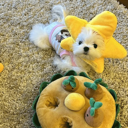 Star Dog Hat for Dogs – Yellow