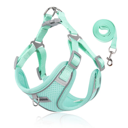 Breathable Mesh Harness & Leash Set