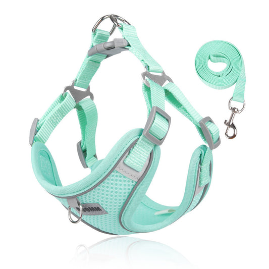 Breathable Mesh Harness & Leash Set