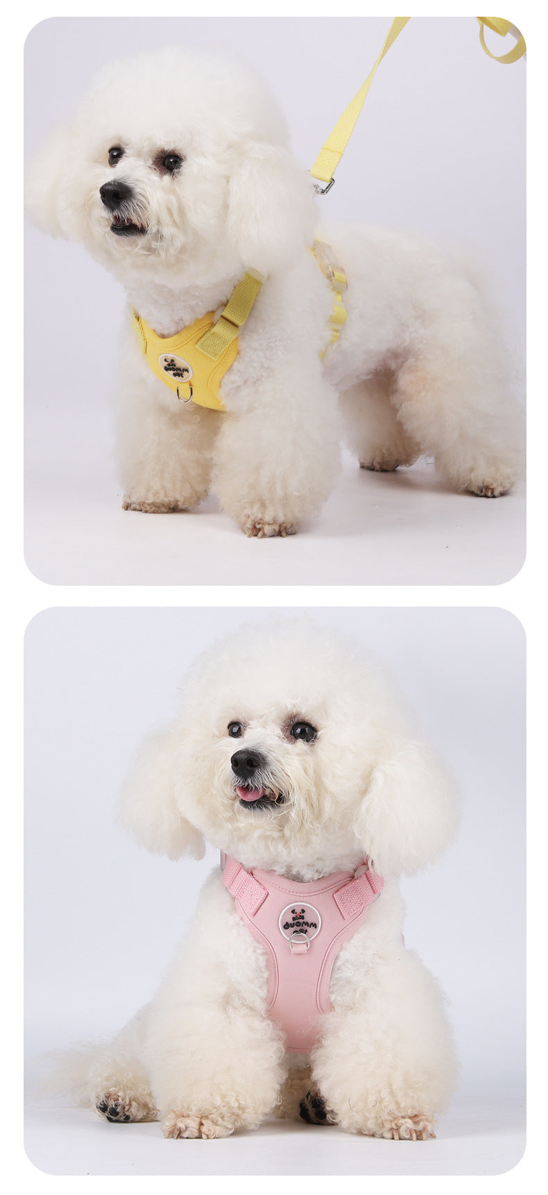 Breathable Mesh Harness & Leash Set