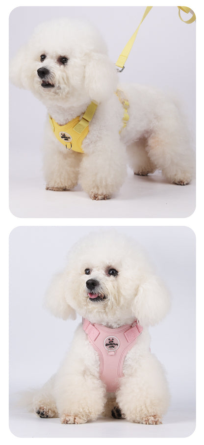 Breathable Mesh Harness & Leash Set