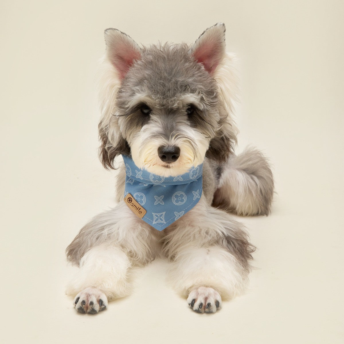 Monogram Dog Bandana for Dogs – Blue