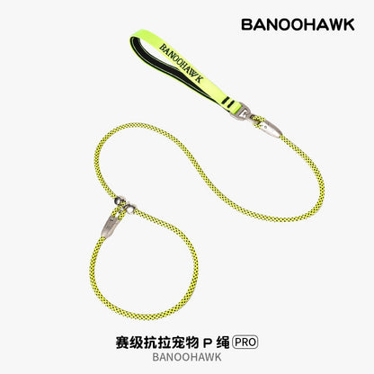 Braided Training Leash for Dogs – Multi