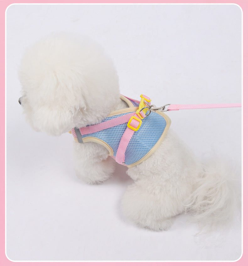 Floral Mesh Harness & Leash Set