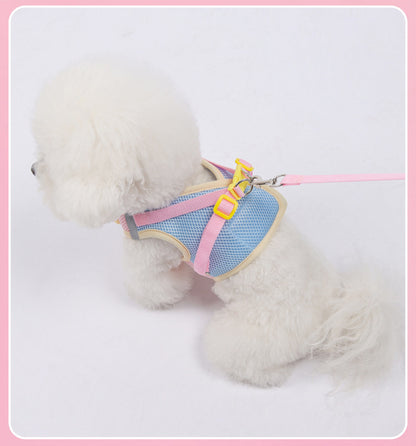 Floral Mesh Harness & Leash Set