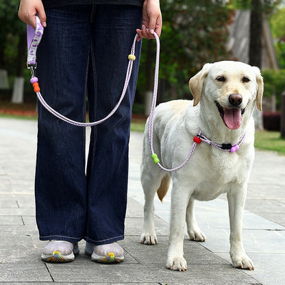 Integrated Training Dog Leash for Dogs – Purple