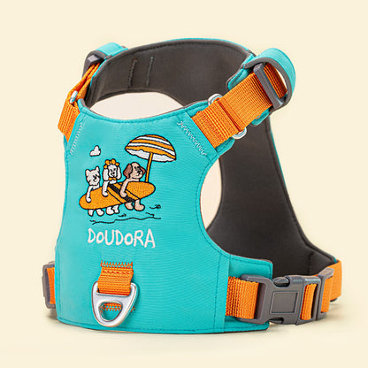 Embroidered Harness & Leash Set