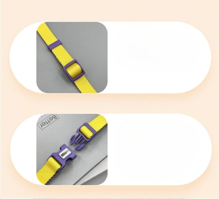 Color Block Dog Collar