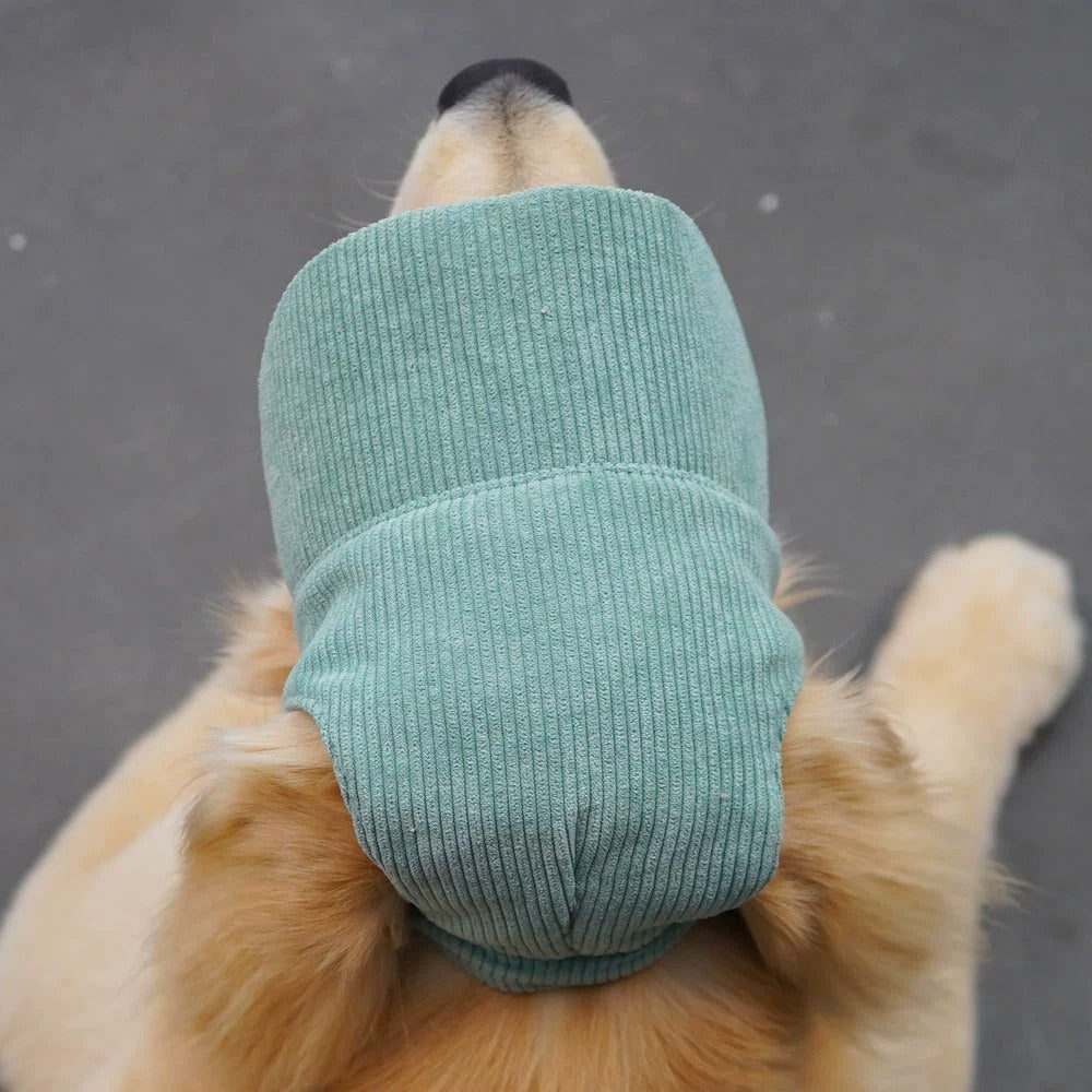 Breathable Mesh Dog Hat