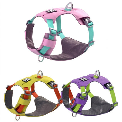 Lightweight Breathable Harness & Leash Set