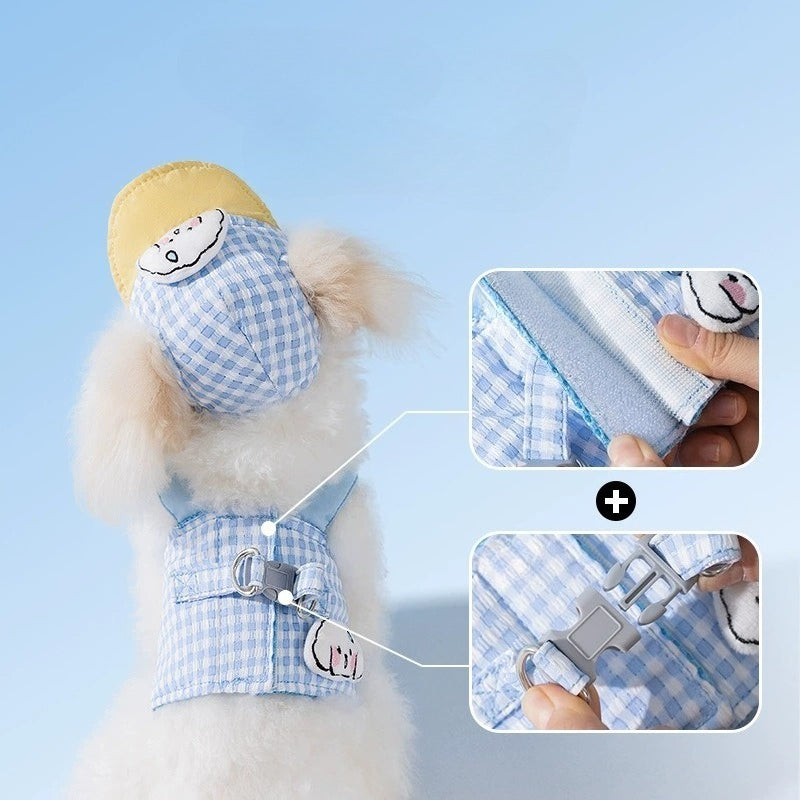 Gingham Harness, Leash & Hat Set