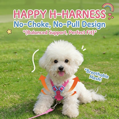 Plaid Bear Harness & Leash Set