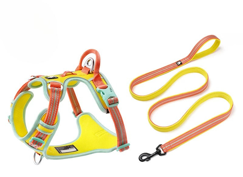 Reflective No-Pull Harness & Leash Set