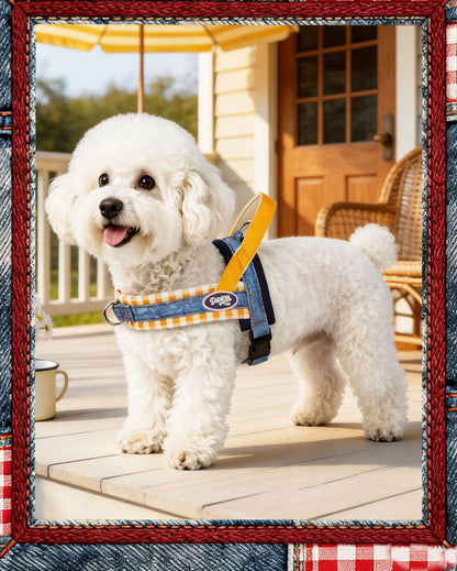 Denim Plaid Harness & Leash Set