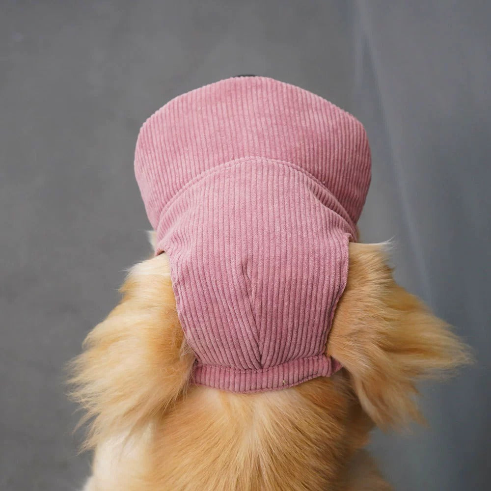 Breathable Mesh Dog Hat