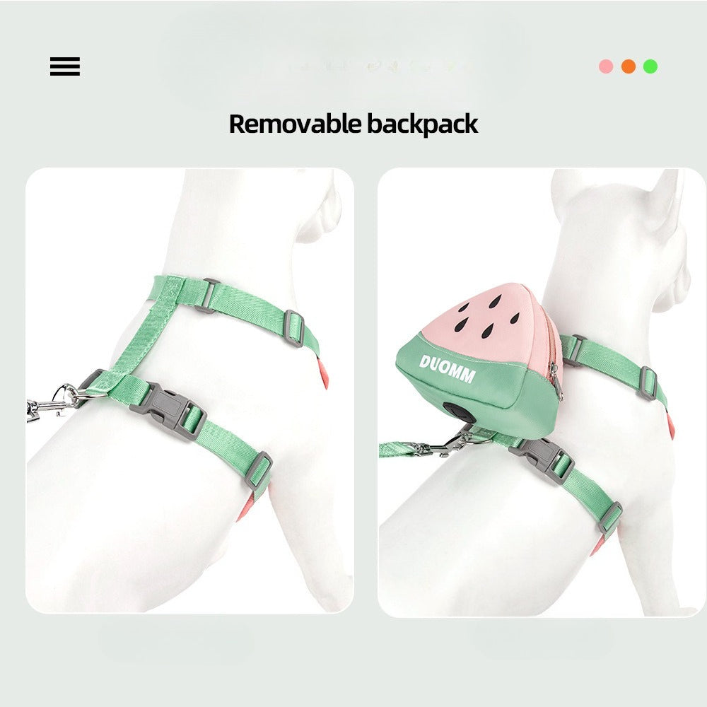 Fruit Pattern Harness, Leash & Backpack Set