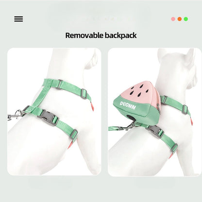Fruit Pattern Harness, Leash & Backpack Set