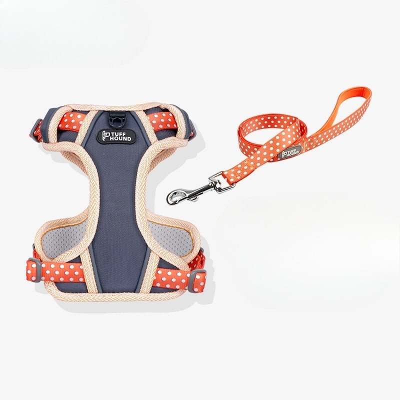 Reflective Mesh Harness & Leash Set