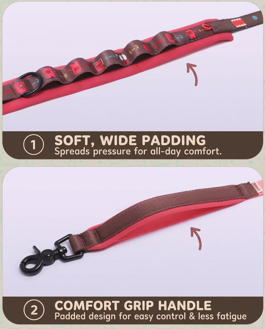 Multi-functional  Dog Leash