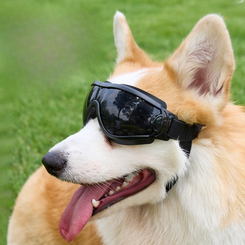 dog goggles, UV protection, pet sunglasses, eye protection, adjustable dog goggles